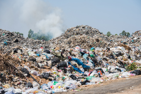 Why Going Plastic Free Is More Than a Trend♻️