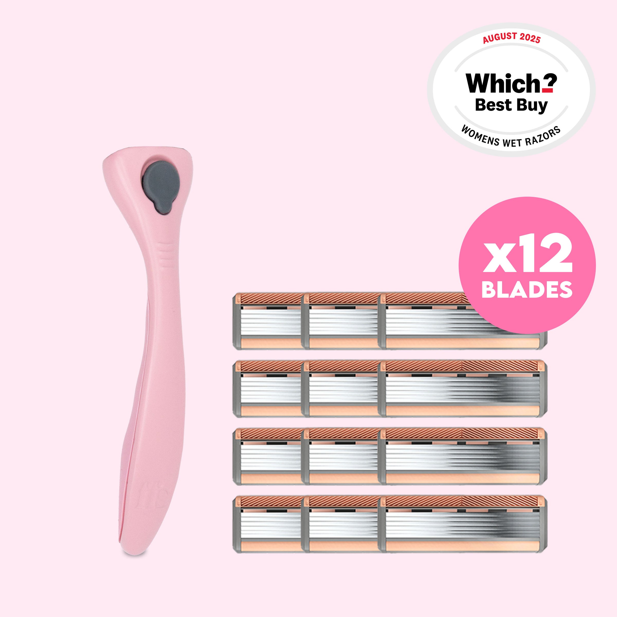 Blades + Fuchsia Handle Bundle