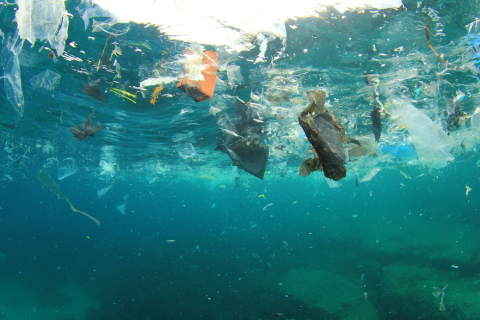 Why Plastic-Free Beauty Matters for Our Oceans 🌊