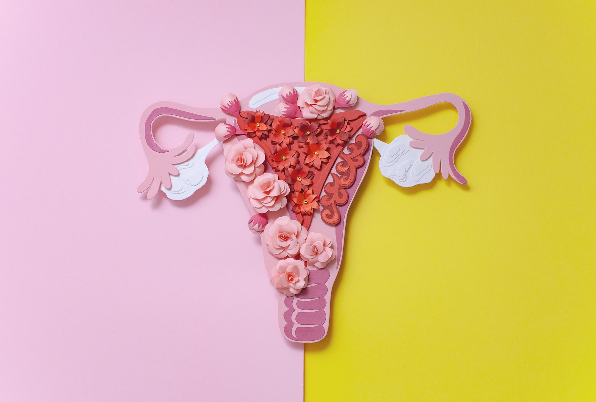 Let’s Talk About Endometriosis