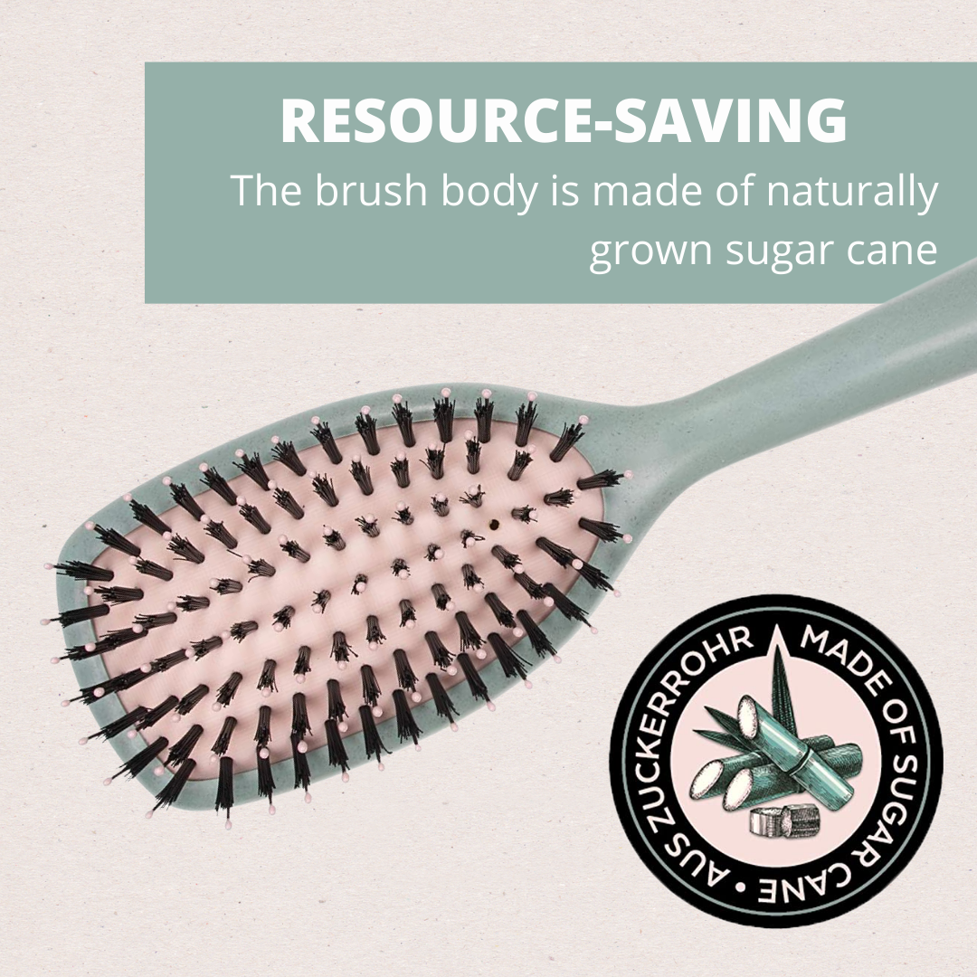 Sugarcane Paddle Hair Brush